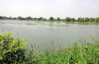 The combination of 'Yuvaagram' along with alternative crops | पर्यायी पिकांबरोबरच ‘युवाग्राम’चा मेळ