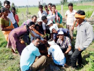 Wildlife Week of the district concludes in the district | जिल्ह्यात जनजागृतीने वन्यजीव सप्ताहाचा समारोप Wildlife Week of the district concludes in the district | जिल्ह्यात जनजागृतीने वन्यजीव सप्ताहाचा समारोप