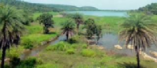 A tourist destination in the 'ashram' area of Pora forest | पोहरा जंगलातील ‘त्या’ आश्रम परिसरात होणार पर्यटनस्थळ A tourist destination in the 'ashram' area of Pora forest | पोहरा जंगलातील ‘त्या’ आश्रम परिसरात होणार पर्यटनस्थळ