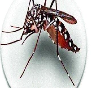 The illness is small, but the fear is big | आजार छोटा, पण भीती मोठी