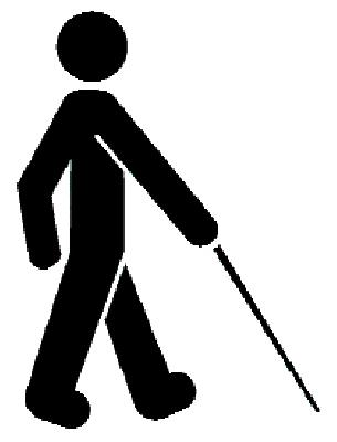 Organizing the white saddle day event | पांढरी काठी दिन कार्यक्रमाचे आयोजन