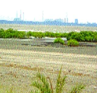 Growth port commenced in six months | वाढवण बंदराच्या कामास सहा महिन्यांत प्रारंभ Growth port commenced in six months | वाढवण बंदराच्या कामास सहा महिन्यांत प्रारंभ