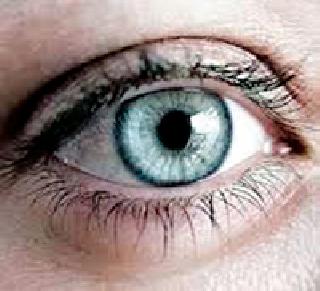 The village that donates vision to the eyes is rare | अंधांना दृष्टी दान करणारे गाव विरली