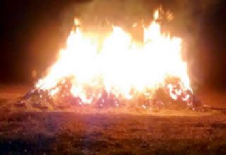 Soya bean lagoon fire | सोयाबीनच्या गंजीला लावली आग Soya bean lagoon fire | सोयाबीनच्या गंजीला लावली आग