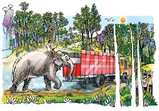 Little sir | छोटे साहेब Little sir | छोटे साहेब