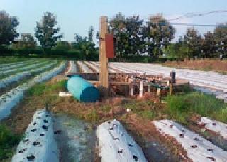 Everything is considered by the farm | शेतीलाच मानले सर्वस्व Everything is considered by the farm | शेतीलाच मानले सर्वस्व