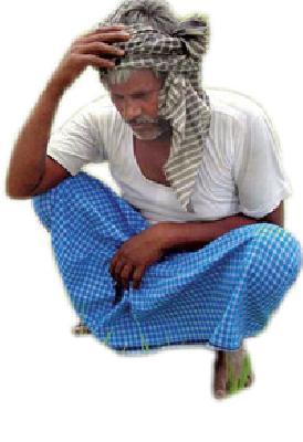 The farmers left the crisis in the wind | संकटातील शेतकऱ्यांना सोडले वाऱ्यावर
