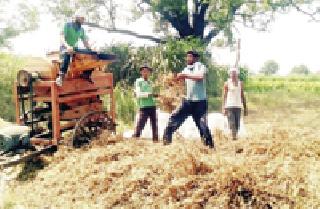 Soybean harvest | सोयाबीन काढणी