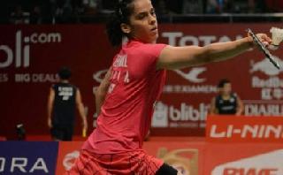 Saina Nehwal leads the world rankings | सायनाची आगेकूच मात्र जागतीक क्रमवारीत घसरण