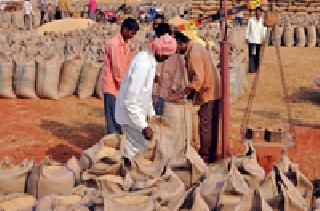 The plunder of the farmers by the traders | व्यापाऱ्यांकडून शेतकऱ्यांची लूट