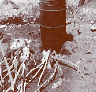 Invalid trades in Baramati | अवैध धंद्यांना बारामतीत ऊत