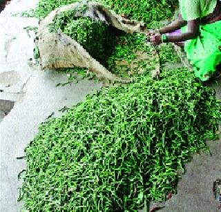 Deficit of okra, chilli, guava, peas | भेंडी, मिरची, गवार, मटारच्या भावात घट Deficit of okra, chilli, guava, peas | भेंडी, मिरची, गवार, मटारच्या भावात घट