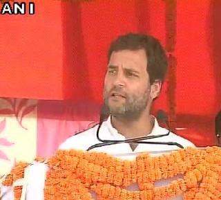 We have caught the leader of Dalits with a dog leader - Rahul Gandhi | दलितांची सांगड कुत्र्याशी घालणा-या नेत्याला आम्ही हाकललं असतं - राहूल गांधी We have caught the leader of Dalits with a dog leader - Rahul Gandhi | दलितांची सांगड कुत्र्याशी घालणा-या नेत्याला आम्ही हाकललं असतं - राहूल गांधी