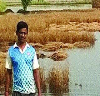 400 acres of agricultural land | ४०० एकर शेतीचे नुकसान