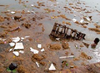 Pudding in the trash: | तलावात कचरा :