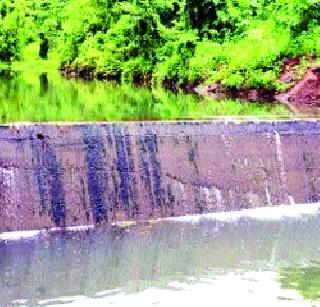 Complete 351 works of bondage | बंधाऱ्यांची ३५१ कामे पूर्ण