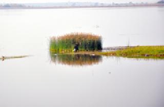 The beauty of the lake ... | तलावातले सौंदर्य...