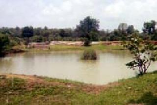 The existence of Malgujari ponds threatens existence | मालगुजारी तलावांचे अस्तित्व धोक्यात