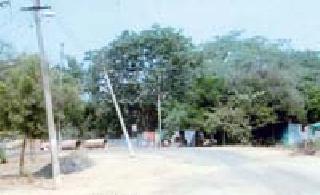 'They' are the pillars that cause an accident | ‘ते’ खांब ठरताहेत अपघाताला कारणीभूत