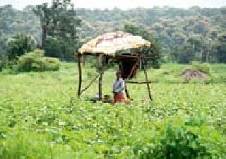 Rest for a while ... | थोडा वेळ विश्रांती...