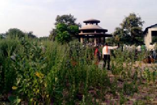 Even after the death of indigestion! | मरणानंतरही येथे अस्वच्छतेचं दुखणं !