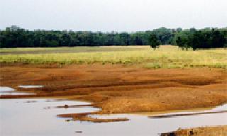 Citizens of Yenoli (Khurd) village are facing drought situation | दुष्काळाच्या वणव्यात होरपळताहेत येनोली (खुर्द) गावचे नागरिक