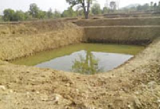 Rann of water from the farmland | शेततळ्यातील पाण्यातून केली रोवणी