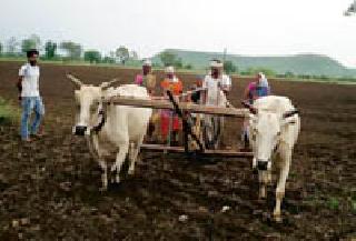 The joke of the farmers in the name of the scheme | योजनेच्या नावाखाली शेतकऱ्यांची केविलवाणी थट्टा