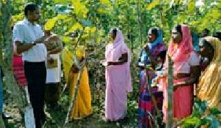 Tasar hub to be opened in Andhra Pradesh | आंधळगावात होणार टसर हब