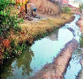 Damp incidence in Nimonne area | निमोणे परिसरात डासांचा प्रादुर्भाव Damp incidence in Nimonne area | निमोणे परिसरात डासांचा प्रादुर्भाव