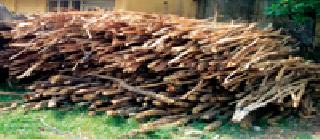 The savage forest destroyed the center of the crater | पचारा जंगलात दारु गाळप केंद्र उद्ध्वस्त