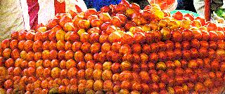 Tomato prices falling | टमाटा दरात घसरण