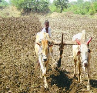 Over two lakh hectares of encroachment on forest area! | दोन लाख हेक्टर वनक्षेत्रावर अतिक्रमण! Over two lakh hectares of encroachment on forest area! | दोन लाख हेक्टर वनक्षेत्रावर अतिक्रमण!