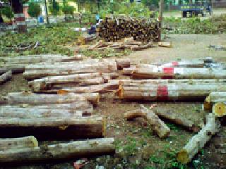 Wood shield not ...: | लाकूड आगार नव्हे... :