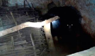 Three youngsters gave birth to a baby girl | ंअस्वलीने दिला तीन पिलांना जन्म