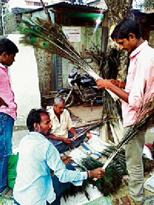Sale of peacock in the Morshi market | मोर्शीच्या बाजारात मोरपंखांची विक्री