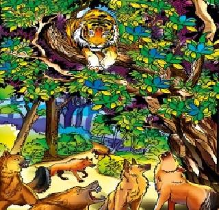 The turban | वाघाचे कर्दनकाळ