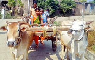 Dedicated girl fishery farmer | डीएड झालेली मुलगी कसते शेती Dedicated girl fishery farmer | डीएड झालेली मुलगी कसते शेती