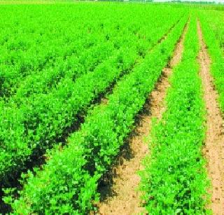 Micro Irrigation scheme subsidy! | सूक्ष्म सिंचन योजनेचे अनुदान रखडले! Micro Irrigation scheme subsidy! | सूक्ष्म सिंचन योजनेचे अनुदान रखडले!