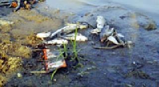 After all, the chemical water was stopped | अखेर रसायनयुक्त पाणी झाले बंद