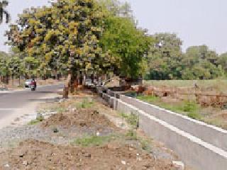 92 trees target for road widening | रोड रुंदीकरणासाठी ९२ झाडे टार्गेट