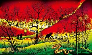 Explode on the FLAC | जाळरेषेवरचा धगधगता वणवा Explode on the FLAC | जाळरेषेवरचा धगधगता वणवा