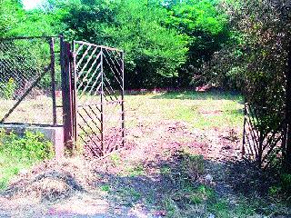 Waiting for development of empty plots in Govindnagar | गोविंदनगर येथील मोकळा भूखंड विकासाच्या प्रतीक्षेत Waiting for development of empty plots in Govindnagar | गोविंदनगर येथील मोकळा भूखंड विकासाच्या प्रतीक्षेत