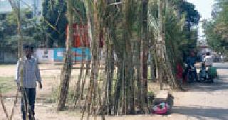 Mandhav sugarcane: | मांडव उसाचे :