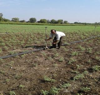 Blind Farmer's Eye Agriculture | आंधळ्या शेतक-याची डोळस शेती Blind Farmer's Eye Agriculture | आंधळ्या शेतक-याची डोळस शेती