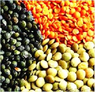 Paddy stolen in APMC masala market | एपीएमसी मसाला मार्केटमध्ये डाळींची चोरी Paddy stolen in APMC masala market | एपीएमसी मसाला मार्केटमध्ये डाळींची चोरी