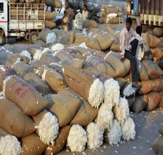 Cotton growers wait for advance bonus | कापूस उत्पादकांना अग्रिम बोनसची प्रतीक्षा