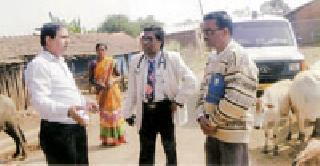 The number of pronounced malaria-positive patients increases | कोरचीत मलेरिया पॉझिटिव्ह रूग्णांची संख्या वाढतीवरच