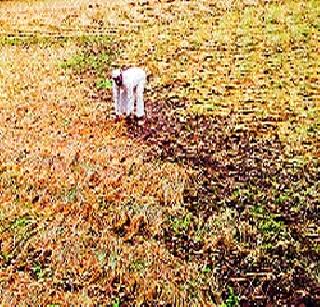 Crops under the dam | धरणाखालील पिके होरपळणार