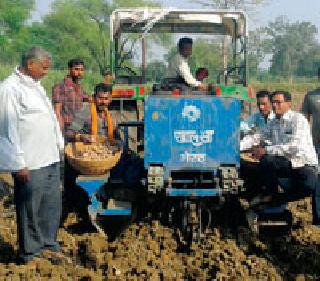 Potato planting: | बटाटा लागवड :